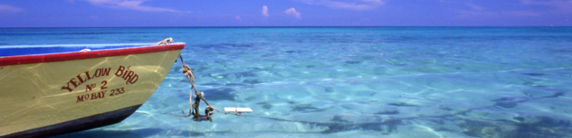 Go to Jamaica