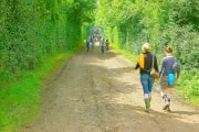 Glastonbury Festival 会場風景